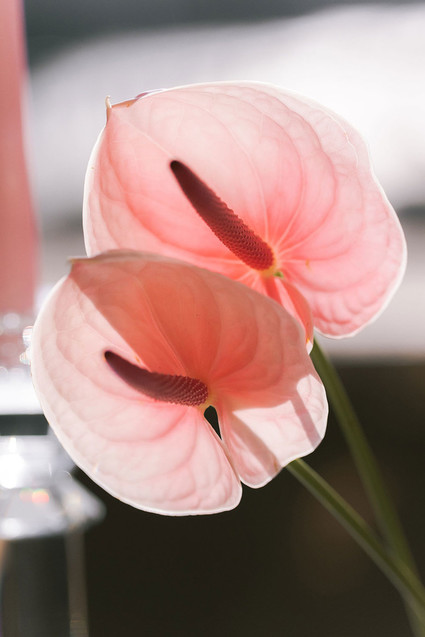 pink wedding inspiration