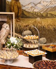 Natural History Museum Wedding