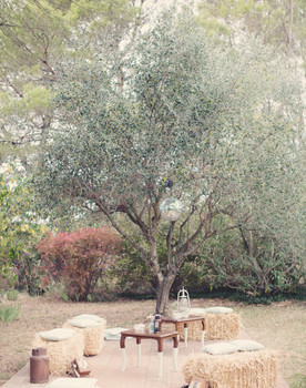 Rustic Lounge