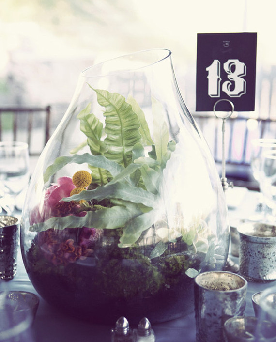 Terrarium Tablescape