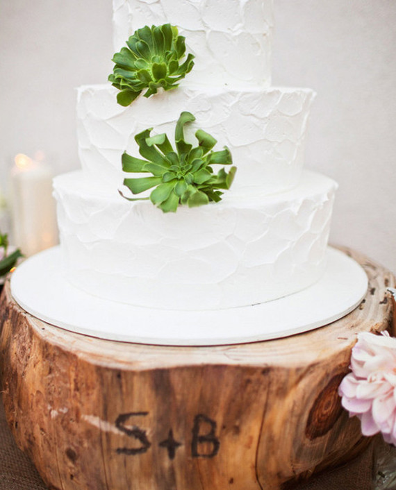 Succulent Cake
