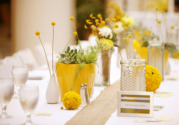 Succulent and Billy Ball Tablescape