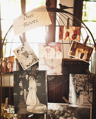 Old Vintage Photo Display