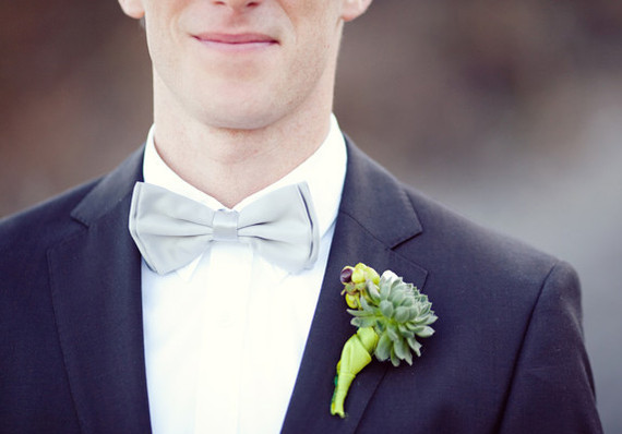 Grey Bow Tie and Succulent Boutonniere