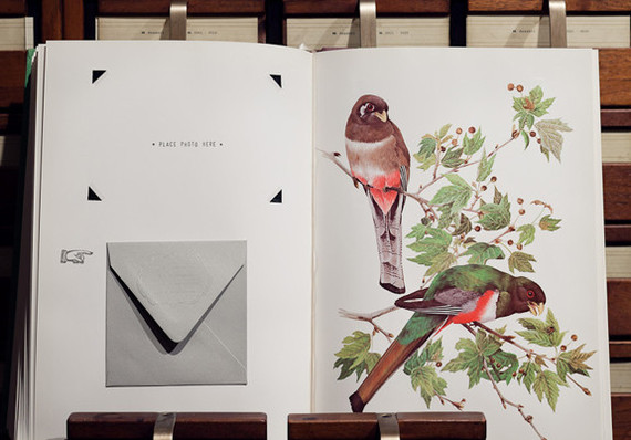 Bird themed guest book