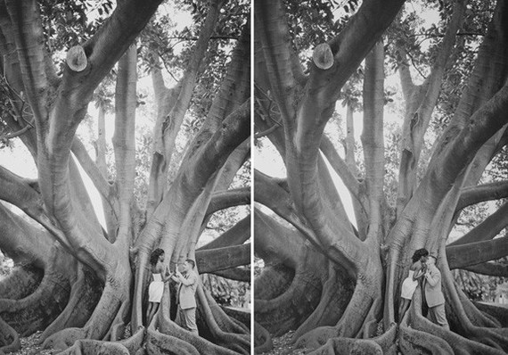 Beautiful couple in tree portrait