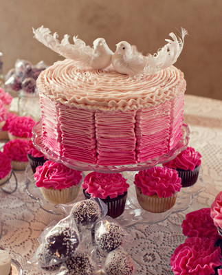 Pink ombre cake with bird topper