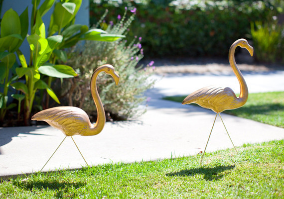 Gold Flamingoes