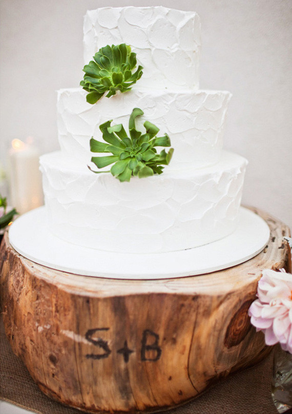 Wood Stump and Succulent Cake