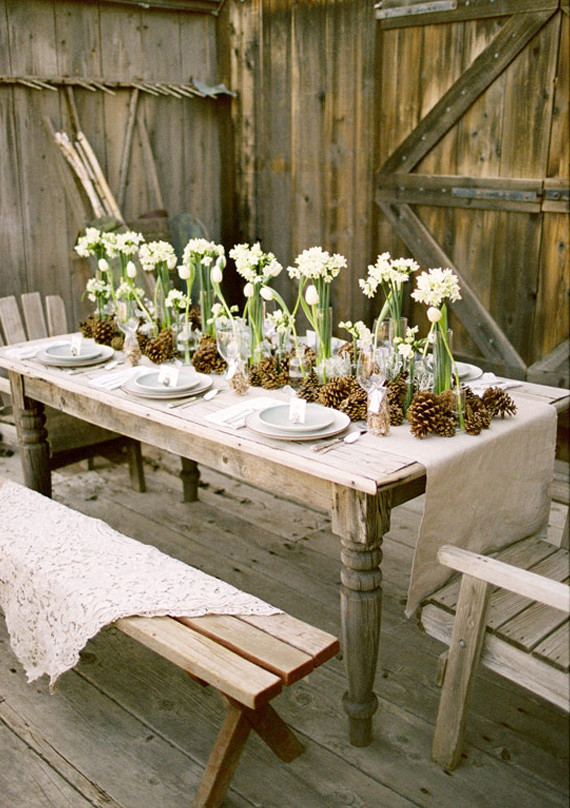 Pinecones, Tulips and Paper White Tablescape