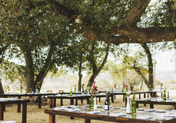 Tree-Covered Wood Table Reception