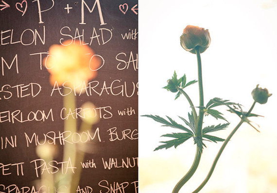 Fox Fodder Farm Wedding Inspiration