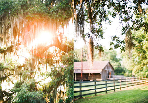 Elegant New Orleans wedding Wedding Inspiration