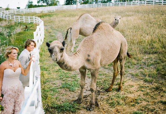 Cassidy Brooke Photography Wedding Inspiration