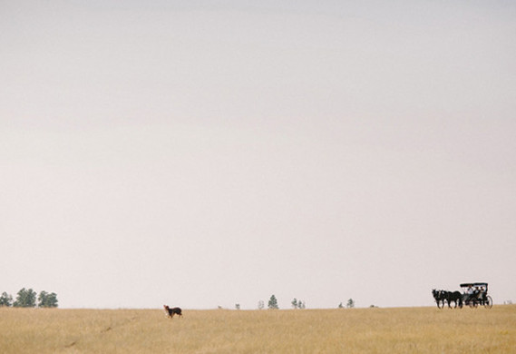 Tyler and Katie Branch Wedding Inspiration