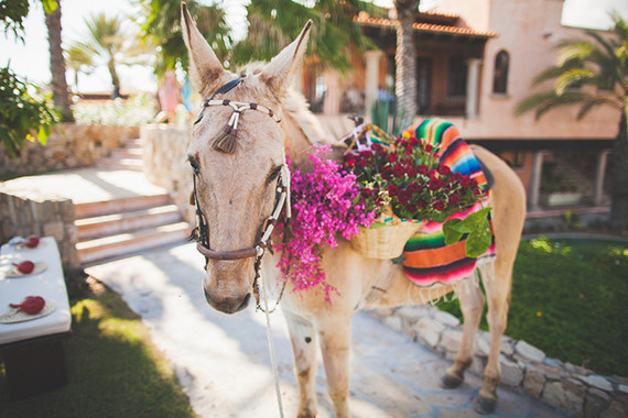 Vista Ballena Wedding Inspiration