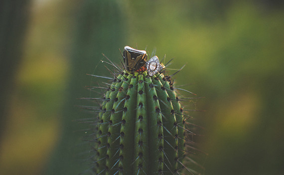 Vista Ballena Wedding Inspiration