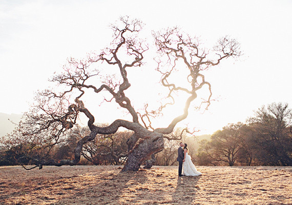 Venue Wedding Inspiration