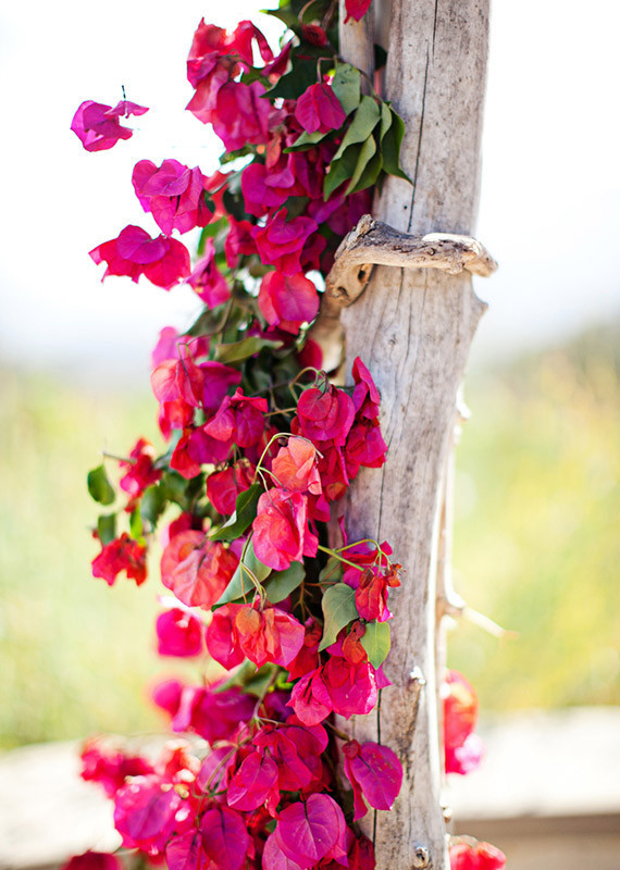 Flowers Wedding Inspiration