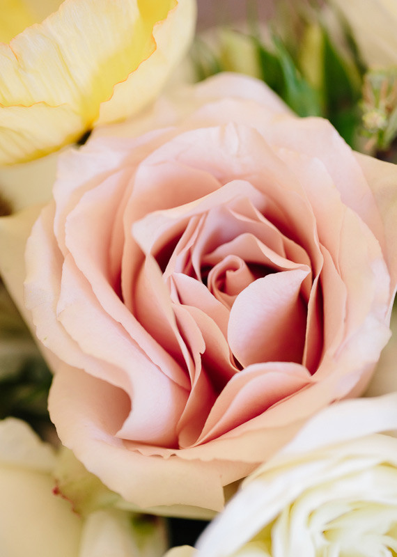 Annabella Charles Wedding Inspiration