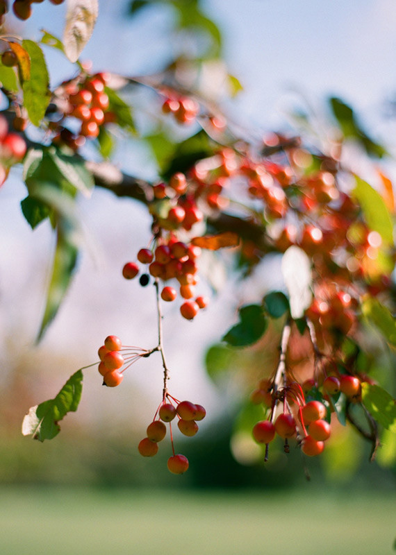 Vintage Mexican Fiesta Inspired Wedding