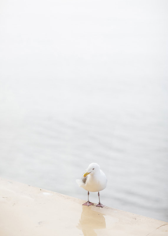 Q Avenue Photo Wedding Inspiration