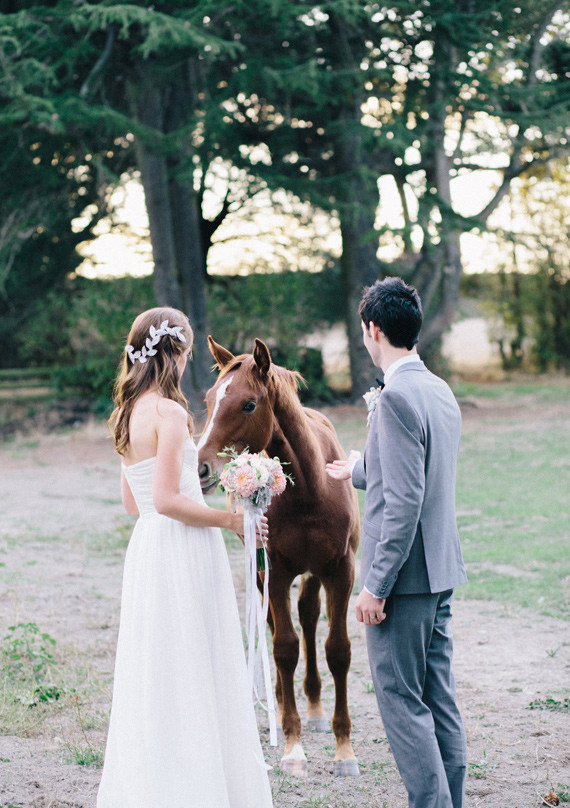 Andrea Seymour Photography Wedding Inspiration