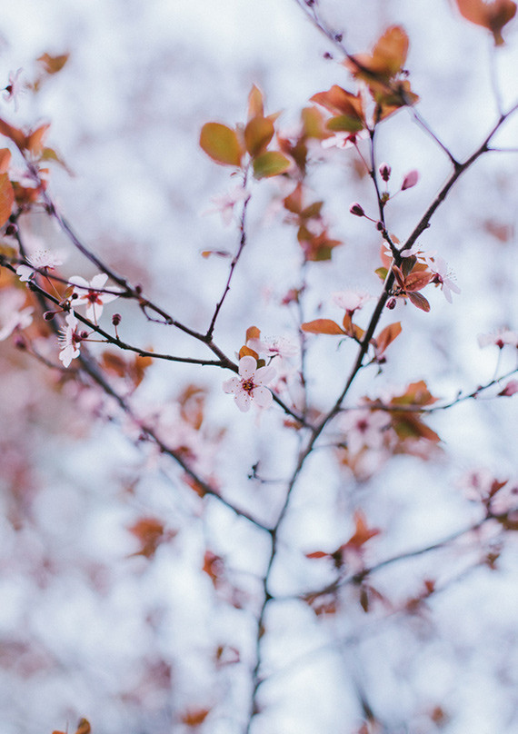 Emily Delamater Wedding Inspiration