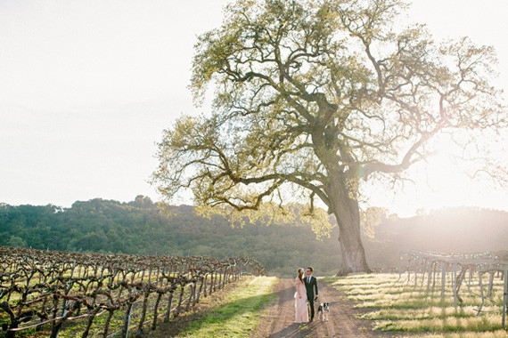 The Why We Love Wedding Inspiration