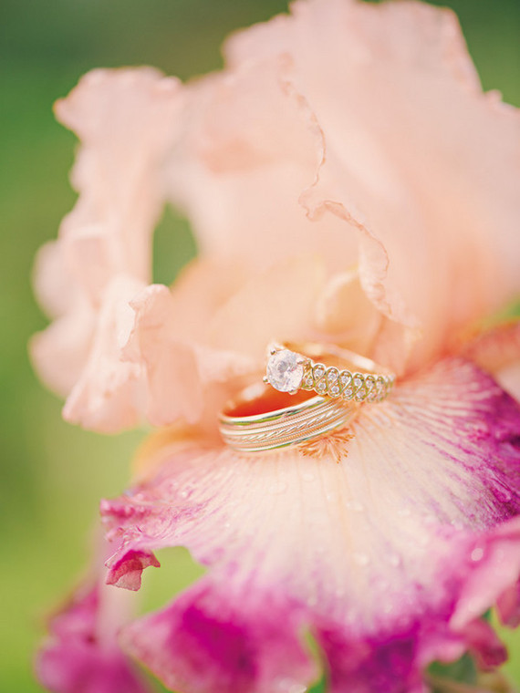 Jaclyn Journey Wedding Inspiration
