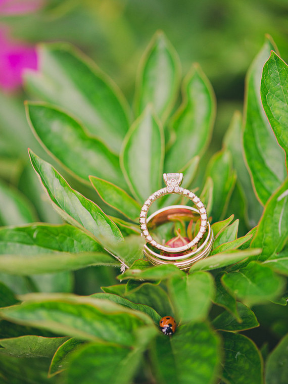 Jaclyn Journey Wedding Inspiration