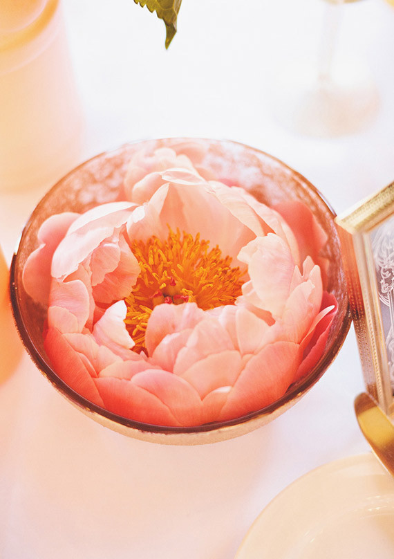 First Mate Photography Wedding Inspiration