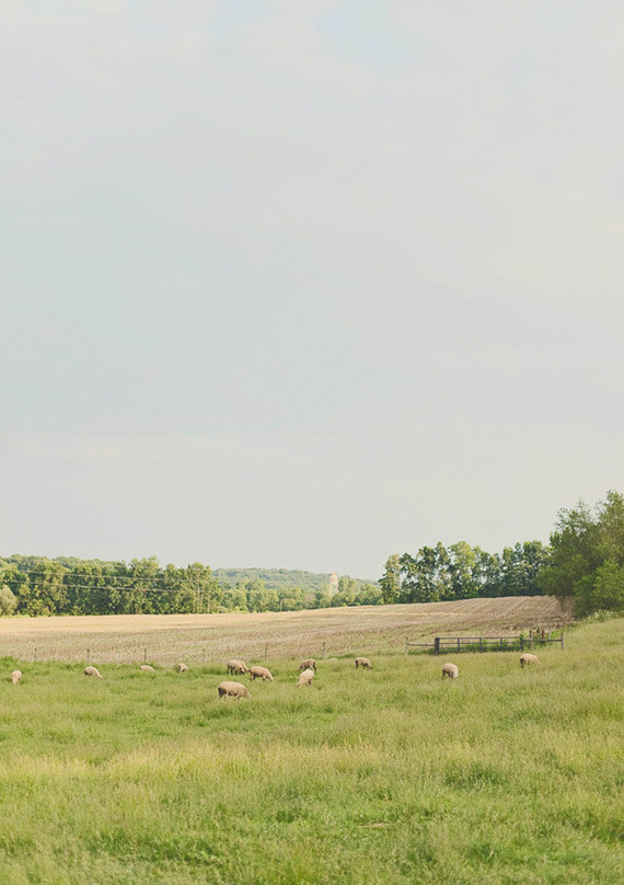 DIY Ohio farm wedding Wedding Inspiration