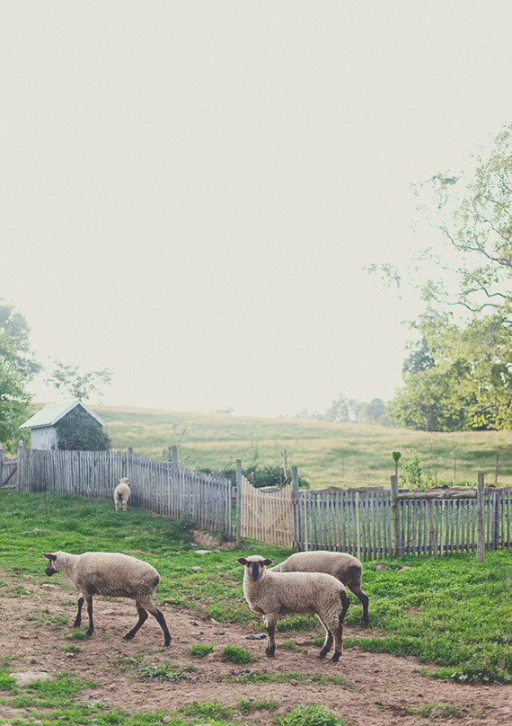 DIY Ohio farm wedding Wedding Inspiration