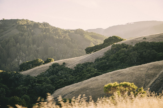 Vintage Carmel Wedding