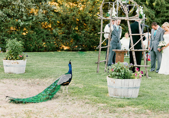 Real Weddings and Parties Wedding Inspiration