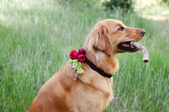 Flower Afternoon Wedding Inspiration