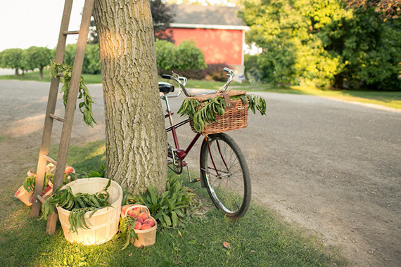 Amanda Cowley Wedding Inspiration