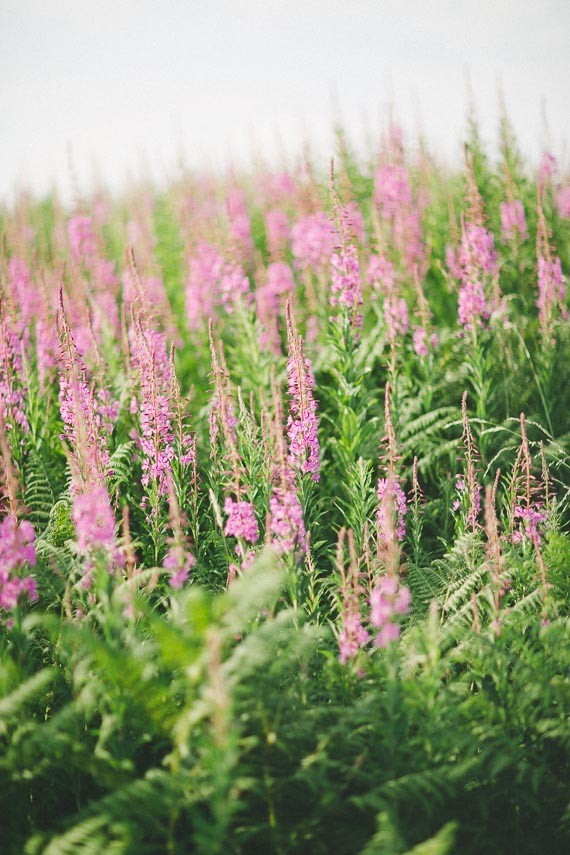 Real Weddings and Parties Wedding Inspiration