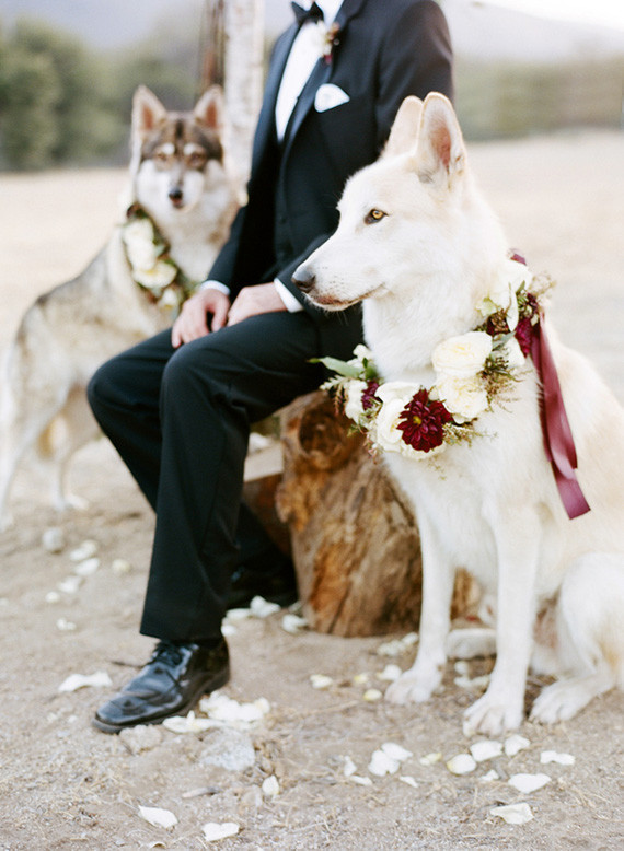 Rustic winter wedding inspiration Wedding Inspiration