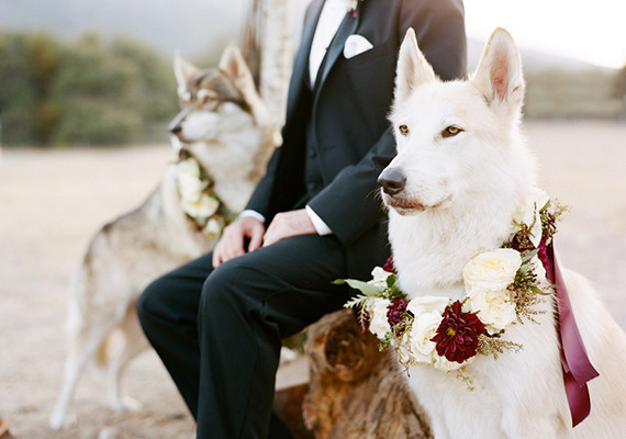 Rustic winter wedding inspiration Wedding Inspiration