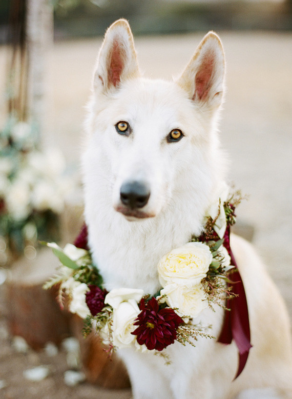 LMarie Photography Wedding Inspiration
