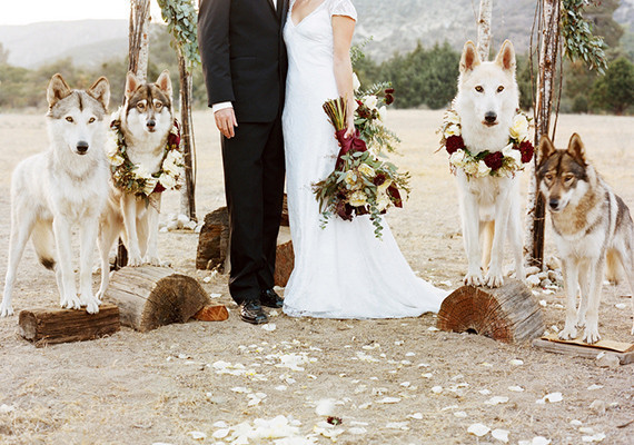 Rustic winter wedding inspiration Wedding Inspiration