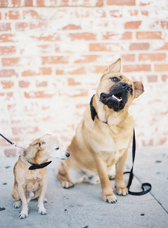 Real Weddings and Parties Wedding Inspiration