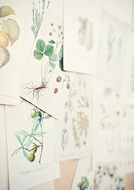 Anthem Photography Wedding Inspiration