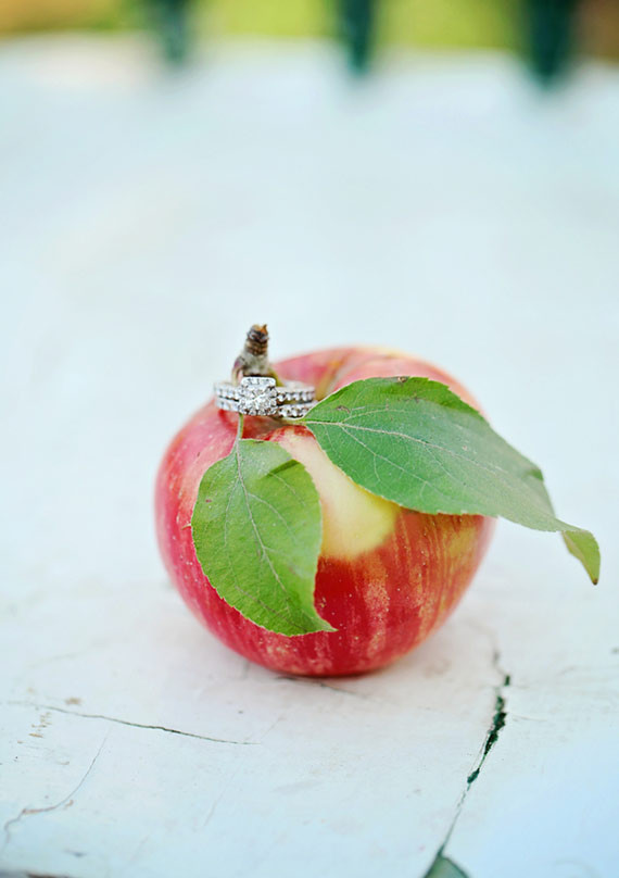 Apple orchard wedding inspiration Wedding Inspiration