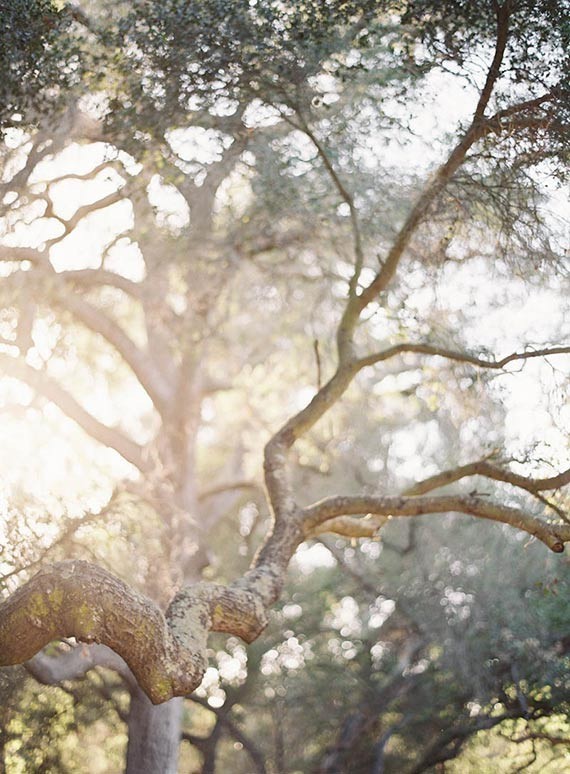 Velvety green wedding inspiration Wedding Inspiration