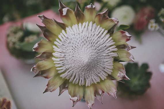Flowers Wedding Inspiration