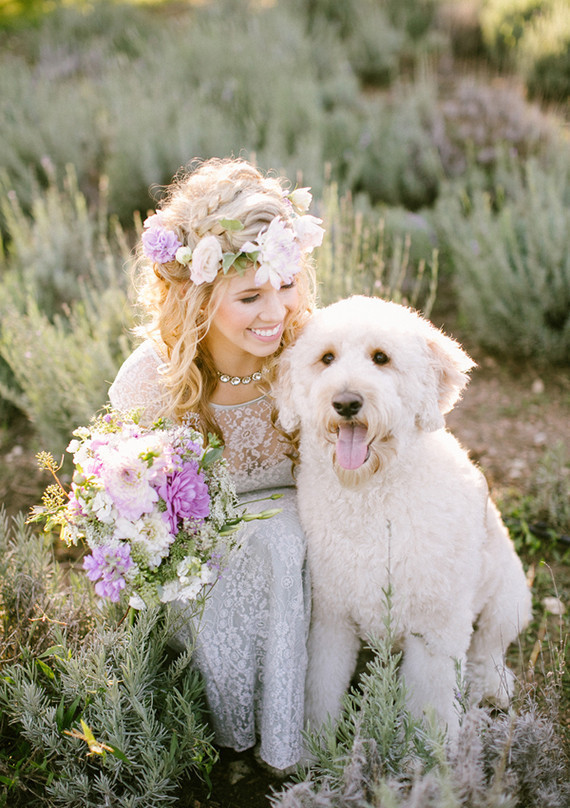 Lavender farm inspiration bride with dog Inspiration