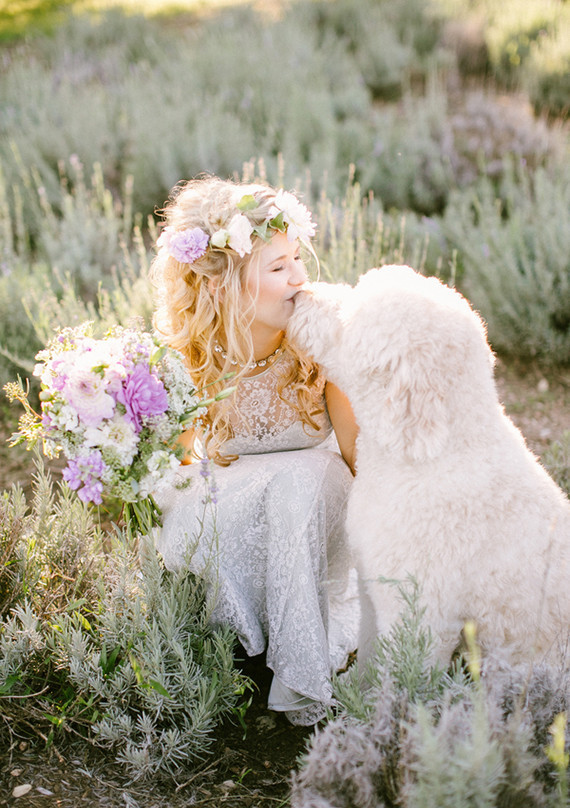 Lavender farm inspiration bride